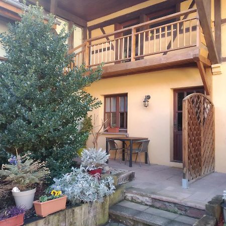 Chez Frederic Et Alexandre Apartment Bennwihr Bagian luar foto