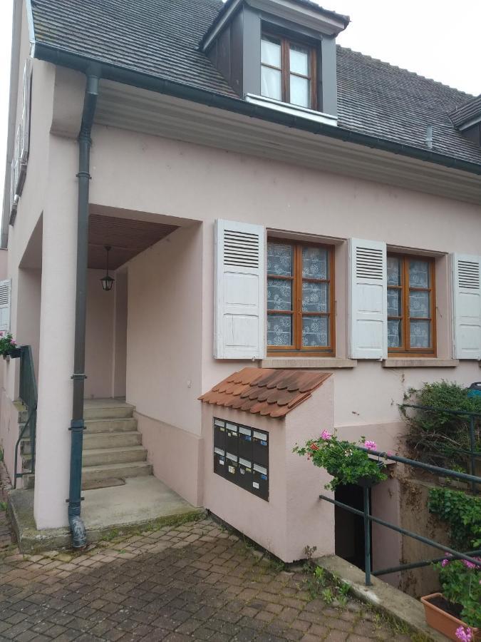 Chez Frederic Et Alexandre Apartment Bennwihr Bagian luar foto